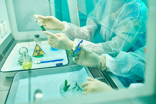 Side view close up of unrecognizable scientists wearing biohazard suits working with plants in medical research laboratory