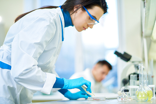 Profile view of pretty young scientist wearing white coat and safety goggles standing at laboratory bench and wrapped up in ambitious research, blurred background