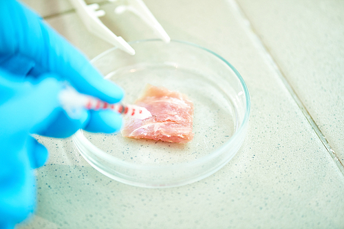 Close-up shot of unrecognizable researcher wrapped up in growing cultured meat while working on ambitious project in modern lab