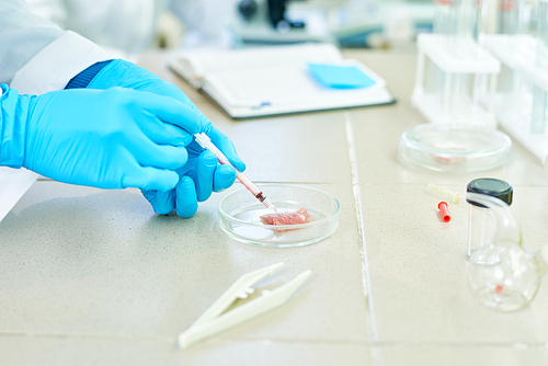 Unrecognizable talented scientist standing at laboratory bench and wrapped up in project of in vitro meat creation, close-up shot