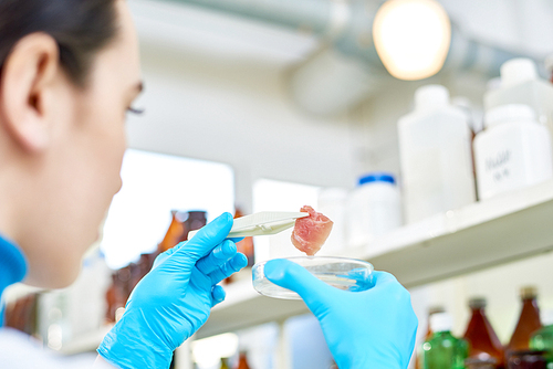 Close-up shot of confident young researcher wearing rubber gloves holding Petri dish in hand while inspecting quality of in vitro meat sample