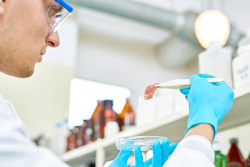 Close-up shot of confident young scientist wearing safety goggles and rubber gloves checking quality of artificial meat grown in modern laboratory