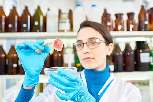 Head and shoulders portrait of attractive young scientist wearing rubber gloves and white coat inspecting quality of in vitro meat sample while standing at modern lab.