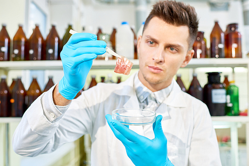 Handsome young researcher with stylish haircut wearing white coat and rubber gloves analyzing results of ambitious project concerning cultured meat creation, interior of modern lab on background