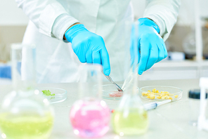 Close-up shot of unrecognizable scientist wearing rubber gloves and white coat using Petri dishes and scalpel while carrying out quality control of vegetables in modern lab.