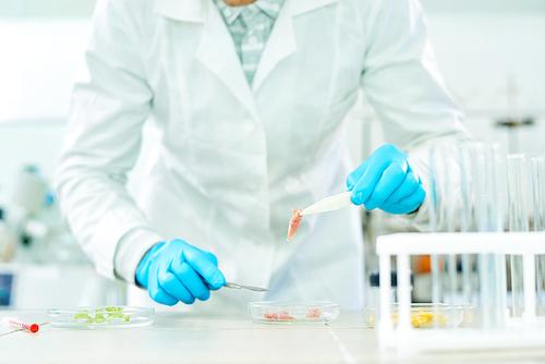 Close-up shot of unrecognizable researcher wearing white coat and rubber gloves standing at laboratory bench and studying sample of artificial meat with help of scalpel.