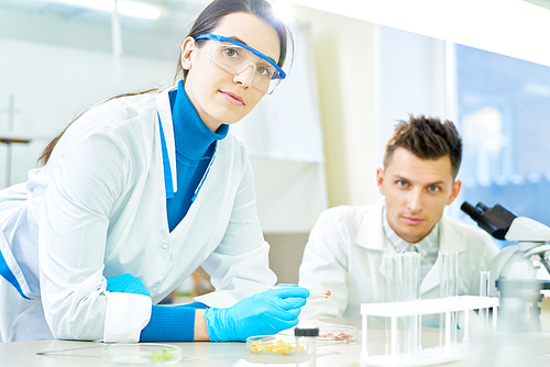 Group portrait of talented young scientists wearing white coats  while sitting at laboratory desk and carrying out experiment