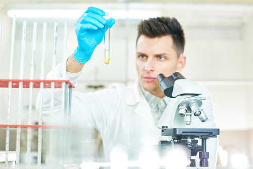 Confident young researcher wearing rubber gloves and white coat sitting at laboratory bench and studying content of test tube with concentration