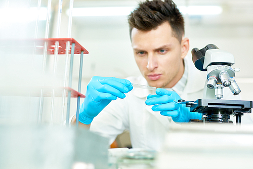 Waist-up portrait of concentrated young researcher wearing rubber gloves and white coat sitting at laboratory bench and studying sample with interest