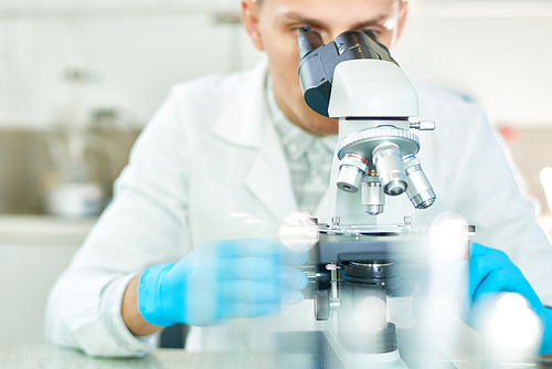 Hard-working young scientist wearing rubber gloves and white coat looking through microscope while working on creation of artificial meat at modern lab