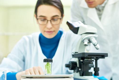 Working process at modern laboratory: pretty young scientist and her male colleague wearing white coats discussing results of conducted experiment, bottle with GMO lettuce sample on foreground