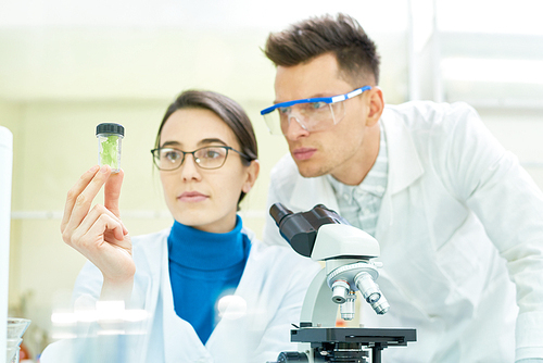 Team of gifted young scientists wearing white coats studying sample of genetically modified lettuce while gathered together at modern laboratory