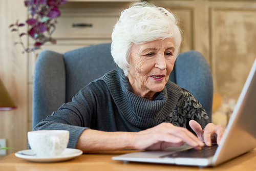 Confident senior woman wearing gray sweater using laptop while sitting at cozy small cafe and drinking delicious cappuccino, portrait shot