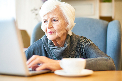 Confident senior manager sitting at table of cozy small coffeehouse and working on financial accounts with help of laptop, portrait shot