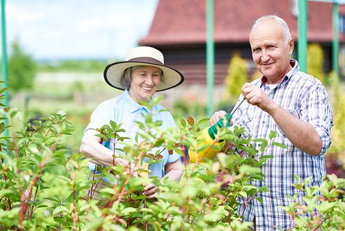 Portrait of smiling senior couple posing while working in garden together, spray treating plants, copy space
