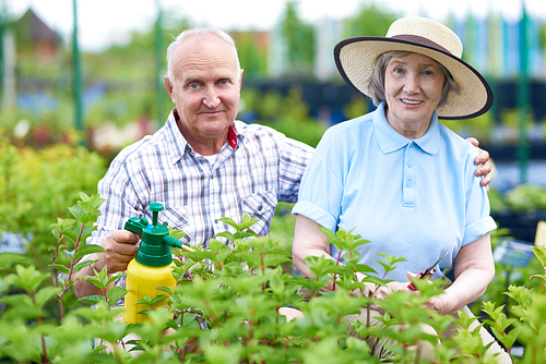 Portrait of happy senior couple posing, , while working in family garden, copy space