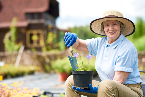 Portrait of nice old woman wearing straw hat  posing in flower garden, smiling at camera, copy space