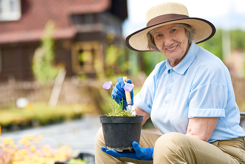Portrait of nice old woman wearing straw hat  posing in flower garden, smiling at camera while working with pots, copy space