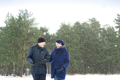 Portrait of cheerful senior couple walking in winter forest and chatting on the way with snow falling gently, copy space