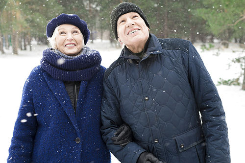 Waist up portrait of cheerful senior couple walking in winter forest and smiling happily looking at snow falling gently