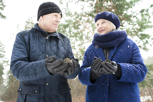 Portrait of happy senior couple walking in winter forest and posing for photo holding handfuls of pine cones