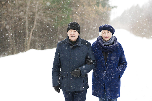 Waist up portrait of loving senior couple walking hand in hand in snowy winter forest, copy space