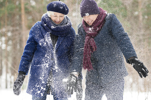 Waist up portrait  of carefree senior couple playing with snow in winter forest