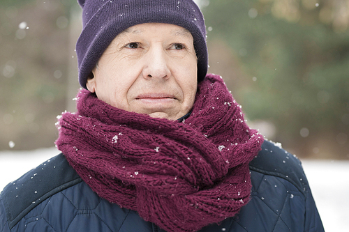 Head and shoulders portrait of pensive senior man in winter forest outdoors, copy space