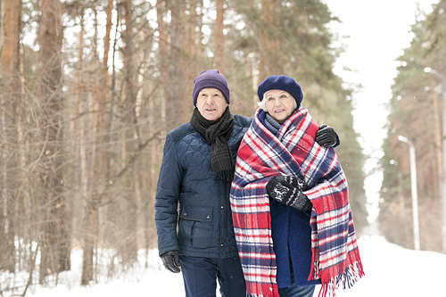 Waist up portrait of caring senior man hugging wife while enjoying walk in winter forest, copy space