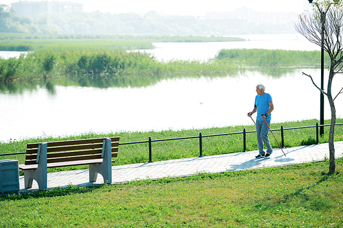 Wide angle portrait of active senior man practicing Nordic walking with poles outdoors in park along lake, copy space