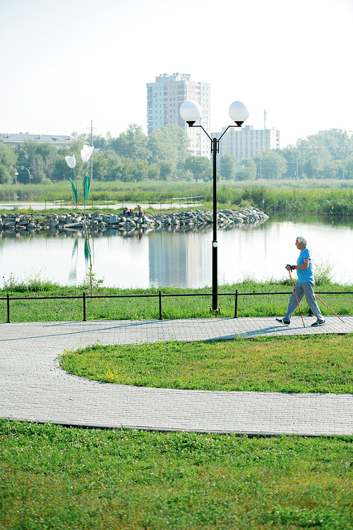 Wide angle portrait of active senior man practicing Nordic walking with poles outdoors in park by lake, copy space