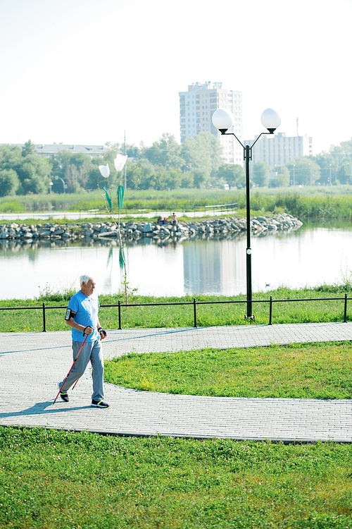 Wide angle portrait of active senior man practicing Nordic walking with poles outdoors in park, copy space