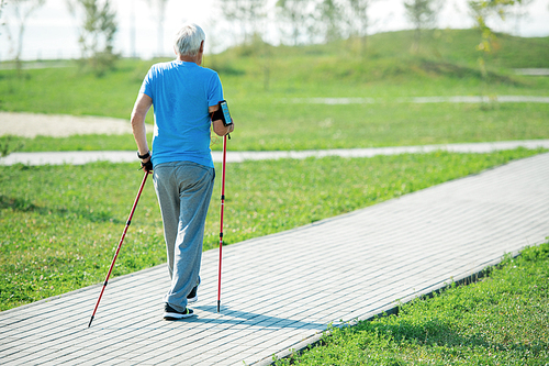 Back view portrait of active senior man practicing Nordic walking with poles outdoors in park, copy space