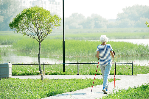 Back view portrait of active senior woman practicing Nordic walking with poles outdoors in park, copy space