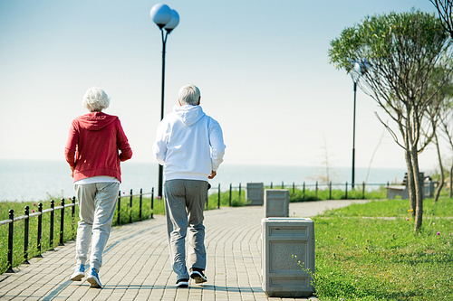 Rear view portrait of active senior couple running together in park along lake, copy space