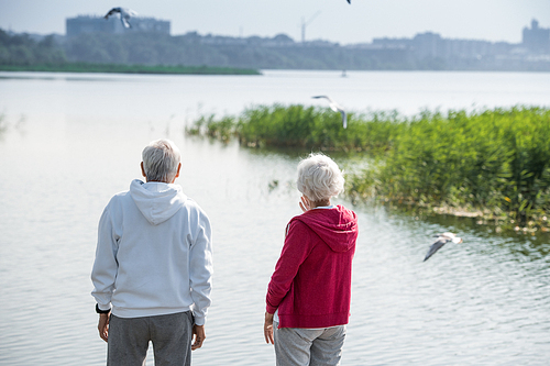 Rear view portrait of active senior couple standing by lake watching birds together during walk, copy space