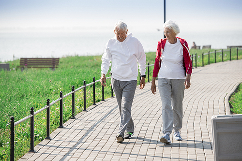 Full length portrait of active senior couple walking in park and smiling happily while chatting on the way, copy space