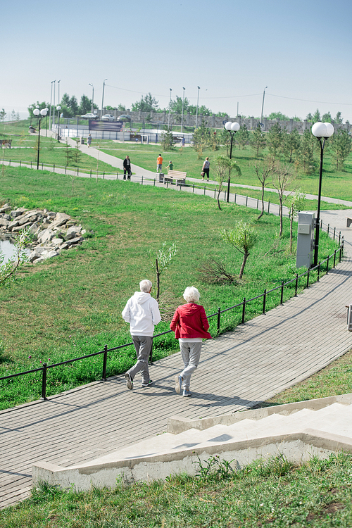 High angle back view  portrait of active senior couple running together in park, copy space