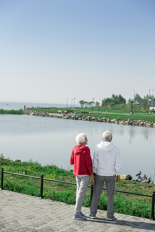 Rear view portrait of modern  senior couple standing by lake  together during walk, copy space