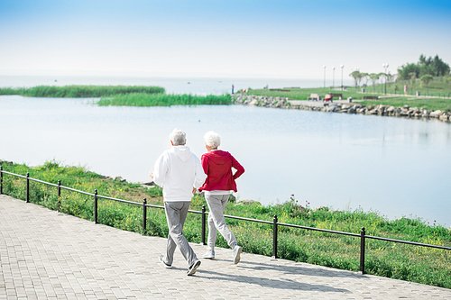 Back view portrait of active senior couple running together in park along lake, copy space