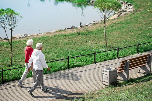 Back view wide angle portrait of active senior couple walking in park along lake, copy space