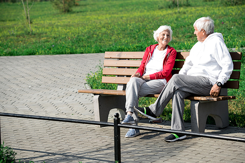 Full length portrait of loving senior couple chatting happily sitting on bench enjoying windy autumn day in park, copy space