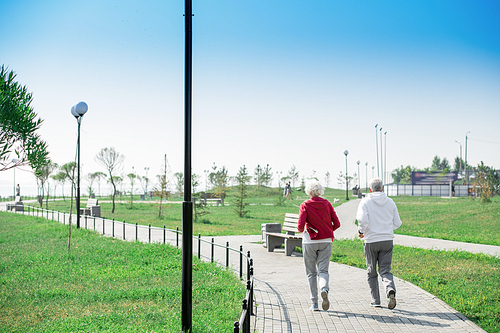 Rear  view portrait of active senior couple running together in park, copy space