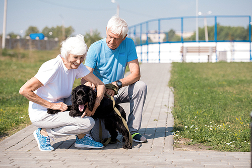 Full length portrait of active senior couple enjoying morning walk with pet dog on park, copy space