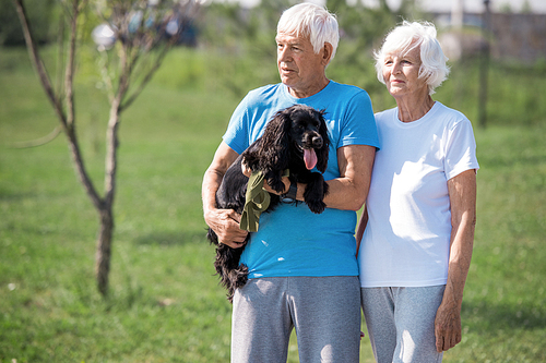Portrait of modern senior couple posing together outdoors while enjoying walk with dog in park, copy space