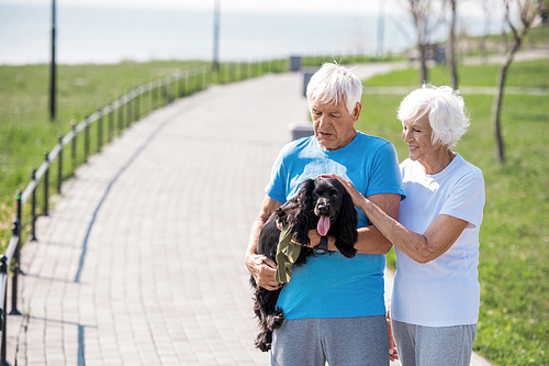 Portrait of active senior couple lovingly petting dog while enjoying walk in park, copy space