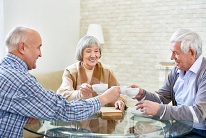 Portrait of three happy senior friends enjoying tea time meeting at home and sharing memories, focus on nice elderly lady holding tea cup