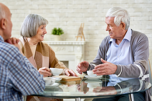 Group of senior people chatting and drinking tea enjoying time in retirement home, copy space