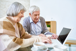 Side view of elderly man and woman using laptop sitting at table in assisted living facility and drinking tea.