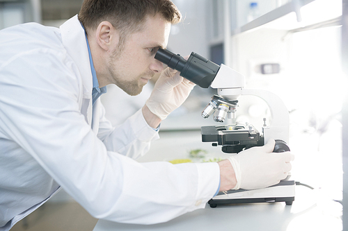 Side view portrait of scientist looking in microscope while doing research in medical laboratory